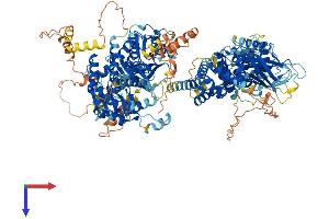 Protein Structure (PS) image for DENN/MADD Domain Containing 5A (DENND5A) (AA 1-1287) protein (His tag) (ABIN7564107)