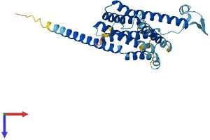 FITM1 Protein (AA 1-292) (His tag)