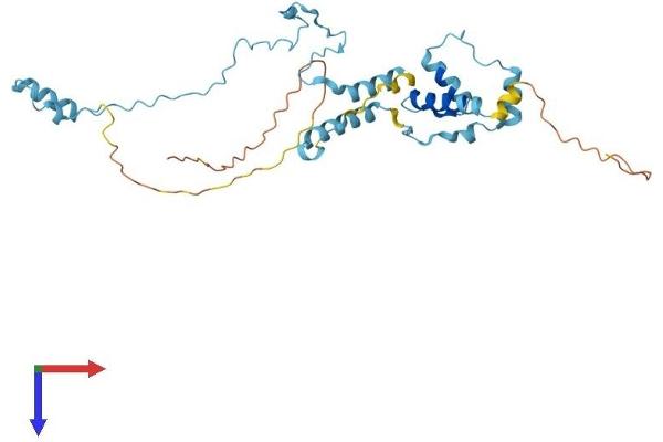 IFT46 Protein (AA 1-304) (His tag)
