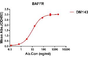 ELISA plate pre-coated by 1 μg/mL (100 μL/well) Human BAFFR protein, mFc tagged protein ((ABIN6961114, ABIN7042257 and ABIN7042258)) can bind Rabbit anti-BAFFR monoclonal antibody(clone: DM143) in a linear range of 0. (TNFRSF13C Antikörper  (AA 7-71))