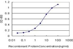Detection limit for recombinant GST tagged CDK4 is approximately 0. (CDK4 Antikörper  (AA 211-303))