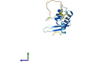 AlphaFold protein structure predicition of Mouse Recombinant Snx24 Protein, UniprotID Q9CRB0