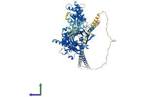 AlphaFold protein structure predicition of Mouse Recombinant Osbpl1a Protein, UniprotID Q91XL9