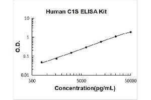 Complement Component 1, S Subcomponent (C1S) ELISA Kit