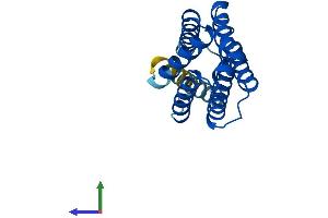 AlphaFold protein structure predicition of Human Recombinant TNFAIP8L1 Protein, UniprotID Q8WVP5