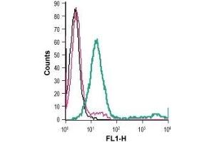 Cell surface detection of P2RX1 in live intact mouse M1 myeloid leukemia cells: (black line) Cells. (P2RX1 Antikörper  (Extracellular) (FITC))