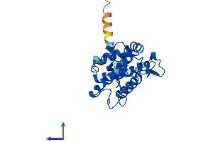 Protein Structure (PS) image for MOB Family Member 4, Phocein (MOBKL3) (AA 1-225) protein (His tag) (ABIN7558059)