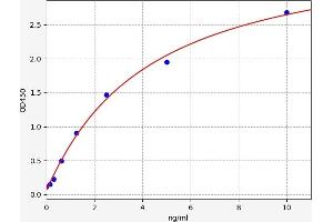 HSD17B13 ELISA Kit