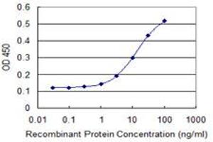 Detection limit for recombinant GST tagged TRIM17 is 1 ng/ml as a capture antibody. (TRIM17 / RNF16 Antikörper  (AA 75-184))