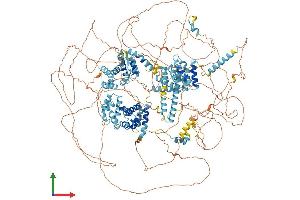 AlphaFold protein structure predicition of Mouse Recombinant Eif4g3 Protein, UniprotID Q80XI3