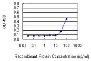 Detection limit for recombinant GST tagged VDAC2 is 10 ng/ml as a capture antibody. (VDAC2 Antikörper  (AA 1-294))