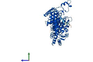 Protein Structure (PS) image for 2-Hydroxyacyl-CoA Lyase 1 (HACL1) (AA 1-578) protein (His tag) (ABIN7548258)
