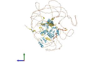 AlphaFold protein structure predicition of Human Recombinant ZNF532 Protein, UniprotID Q9HCE3 (ZNF532 Protein (AA 1-1301) (His tag))