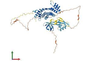 Protein Structure (PS) image for NADPH Oxidase Activator 1 (NOXA1) (AA 1-476) protein (His tag) (ABIN7549840)