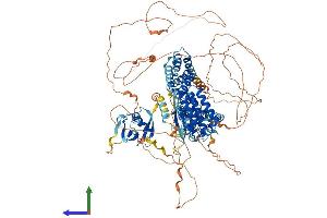 Protein Structure (PS) image for Ras and Rab Interactor 3 (RIN3) (AA 1-980) protein (His tag) (ABIN7563483)