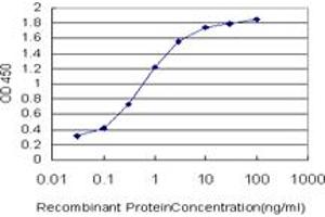 Detection limit for recombinant GST tagged PCAF is approximately 0. (KAT2B Antikörper  (AA 353-452))