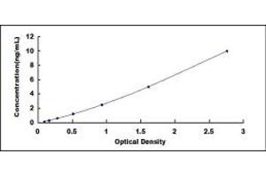 Typical standard curve (RAMP2 ELISA Kit)