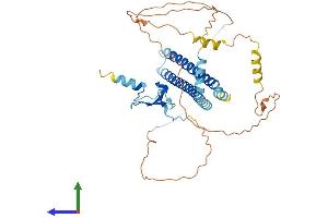 Protein Structure (PS) image for Inhibitor of Growth Family, Member 3 (ING3) (AA 1-421) protein (His tag) (ABIN7564758)