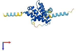 BOK Protein (AA 1-213) (His tag)