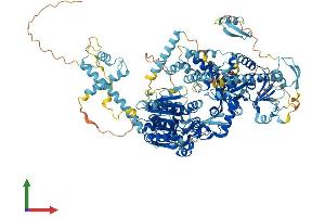 Protein Structure (PS) image for DEAH (Asp-Glu-Ala-His) Box Polypeptide 34 (DHX34) (AA 1-1145) protein (His tag) (ABIN7565011)