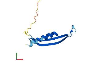 AlphaFold protein structure predicition of Mouse Recombinant Commd6 Protein, UniprotID Q3V4B5