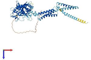 ATL2 Protein (AA 1-583) (His tag)