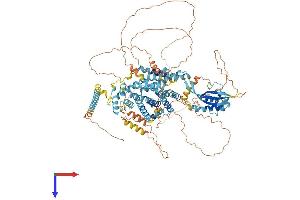 SNX19 Protein (AA 1-997) (His tag)