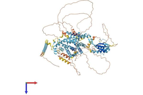 SNX19 Protein (AA 1-997) (His tag)