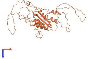 AlphaFold protein structure predicition of Human Recombinant LINC01599 Protein, UniprotID Q8WXQ3