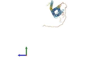 Protein Structure (PS) image for Outer Dense Fiber of Sperm Tails 4 (ODF4) (AA 1-290) protein (His tag) (ABIN7559953)