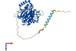 B3GNT6 Protein (AA 1-384) (His tag)
