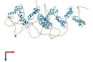 AlphaFold protein structure predicition of Human Recombinant ZNF33A Protein, UniprotID Q06730