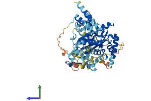 Protein Structure (PS) image for Jerky Homolog-Like (JRKL) (AA 1-524) protein (His tag) (ABIN7548720)