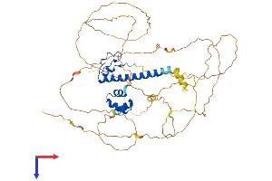 DMRTA2 Protein (AA 1-531) (His tag)
