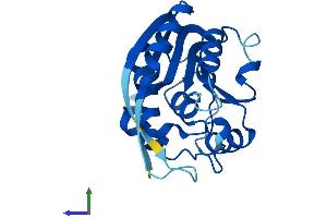 AlphaFold protein structure predicition of Mouse Recombinant Mettl5 Protein, UniprotID Q8K1A0