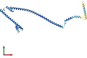 Protein Structure (PS) image for HAUS Augmin-Like Complex, Subunit 1 (HAUS1) (AA 1-278) protein (His tag) (ABIN7548259)