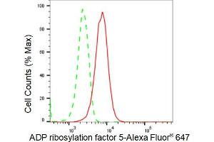 Flow cytometric analysis of ADP ribosylation factor 5 expression in HepG2 cells using ADP ribosylation factor 5 antibody (ABIN7797531), 1:2,000).