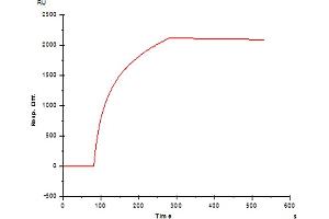 Image no. 1 for anti-Fc Fragment of IgE Receptor Ia (FCER1A) antibody (ABIN1558262) (Fc epsilon RI/FCER1A Antikörper)