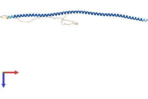 SYCP3 Protein (AA 1-254) (His tag)