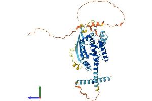 Protein Structure (PS) image for Septin 4 (SEPT4) (AA 1-478) protein (His tag) (ABIN7563058)