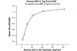 Immobilized Human GDF-2, Tag Free (ABIN6973076) at 1 μg/mL (100 μL/well) can bind Human ALK-1, His Tag (ABIN2180579,ABIN2180578) with a linear range of 2-16 ng/mL (QC tested).