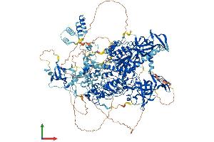 Protein Structure (PS) image for DNA (Cytosine-5)-Methyltransferase 1 (DNMT1) (AA 1-1616) protein (His tag) (ABIN7553689)