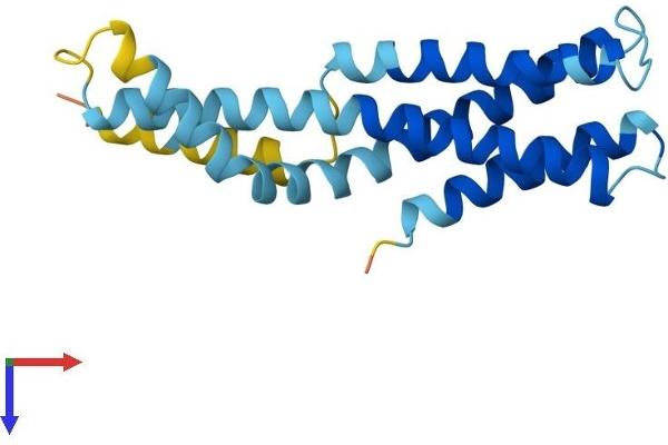SSR3 Protein (AA 1-185) (His tag)