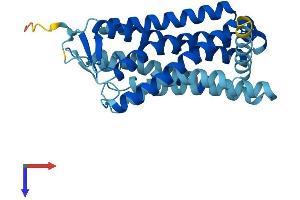 AlphaFold protein structure predicition of Human Recombinant OR4D9 Protein, UniprotID Q8NGE8 (Olfactory Receptor, Family 4, Subfamily D, Member 9 (OR4D9) (AA 1-314) protein (His tag))