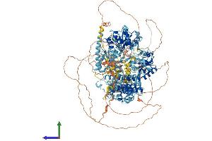 Protein Structure (PS) image for Strawberry Notch Homolog 1 (SBNO1) (AA 1-1393) protein (His tag) (ABIN7555335)