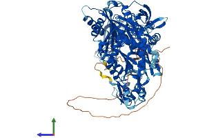 Protein Structure (PS) image for Piwi-Like 1 (PIWIL1) (AA 1-861) protein (His tag) (ABIN7554976)