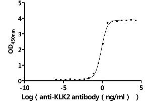 Measured by its binding ability in a functional ELISA.