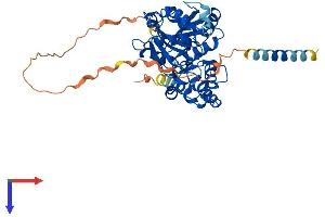GXYLT2 Protein (AA 1-444) (His tag)