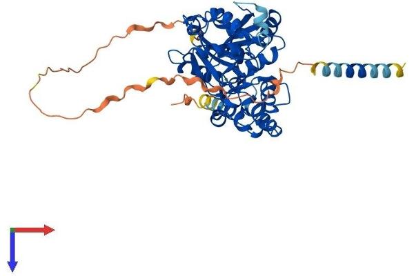 GXYLT2 Protein (AA 1-444) (His tag)