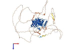 PTPN22 Protein (AA 1-807) (His tag)
